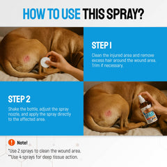 SILVER GRADE – Cône pour chien, aide à freiner le léchage après application.