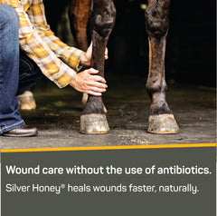 PH équilibré dans Silver Honey Rapid Wound Repair respecte le microbiome cutané.