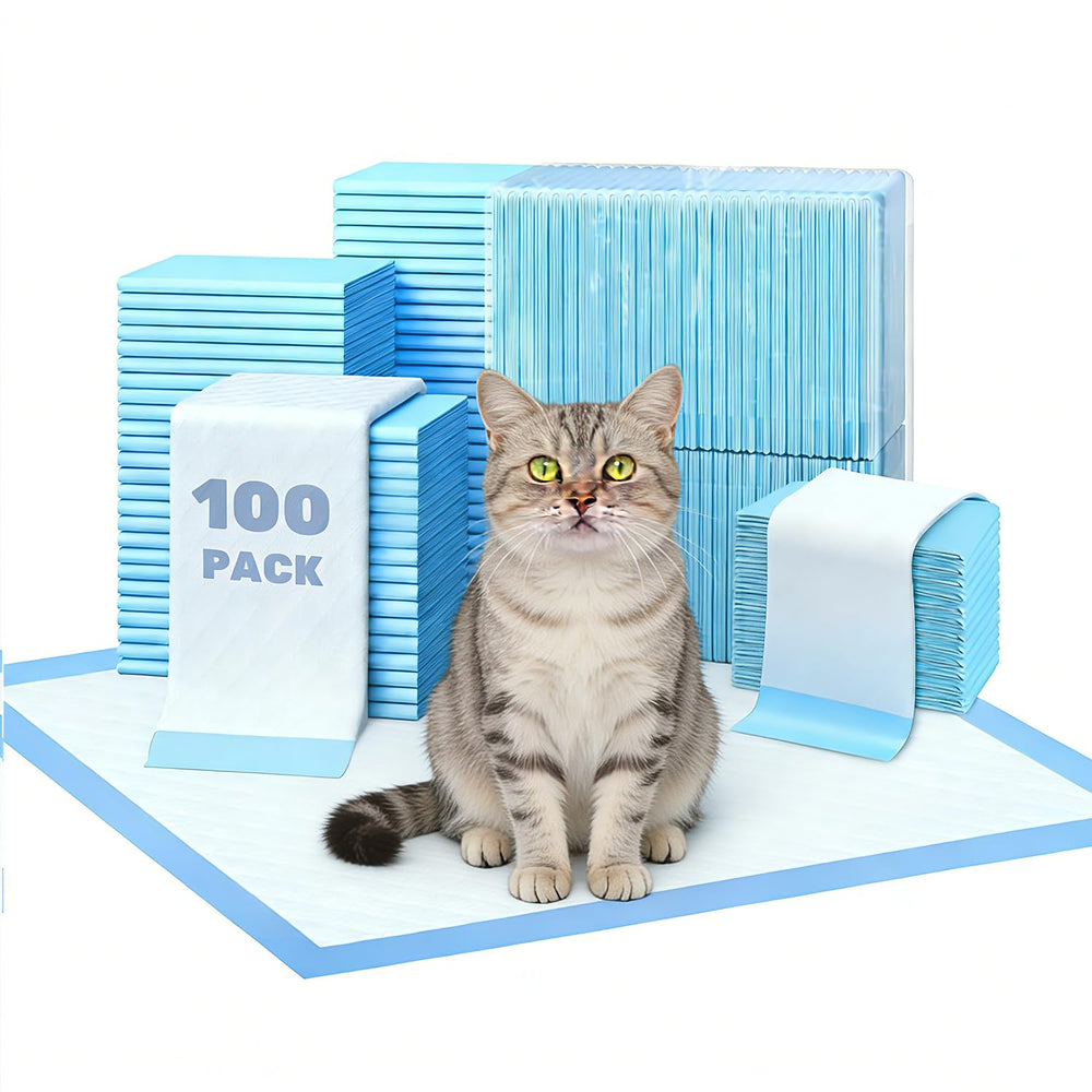 Simple Deluxe Tapis Chat 22x22, vue générale prêt à l'emploi dans la litière.