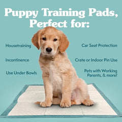 Tapis-pipi Simple Solution XL imperméable protège sols et moquettes lors de l'entraînement