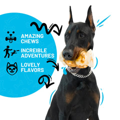 Rouleau digestible SITKA idéal pour chiens sensibles
