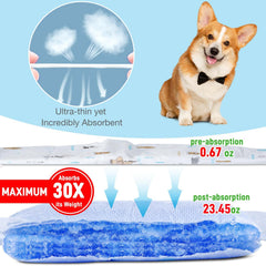 SkyLion absorption-rapide: couche-chien-male qui garde l'espace sec