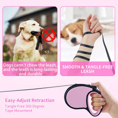 Laisse Slognny nylon haute résistance pour petites et moyennes chiens et chats.