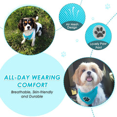 SlowTon ceinture chien-double clip pour fixation robuste et sûre