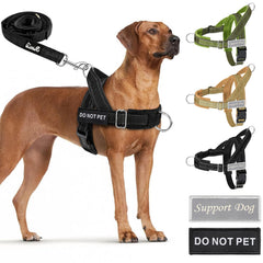 SlowTon harnais sans traction pour chien, réduction du tirage lors des promenades.