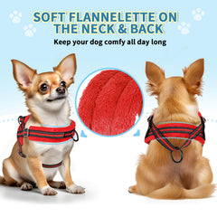 SlowTon laisse-harnais-chien-petit-ensemble: set pratique pour l accompagnement et l entrainement.