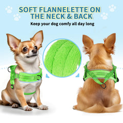 SlowTon laisse petit chien 1,2 m en nylon, anti-torsion, idéale pour balades et jogging.