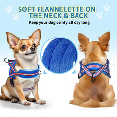 Longe SlowTon pour petit chien, 4 pieds, pratique au quotidien.