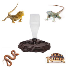 Abreuvoir SLSON installe en angle pour optimiser l'espace en terrarium.