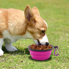 SLSON bol chien pliable vert violet avec deux mousquetons pratiques.