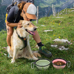 SLSON bol nourriture chien grand, capacité suffisante pour repas lors des trajets.