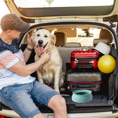 SLSON gamelle pliante-portable idéale pour trajets en voiture et voyage.