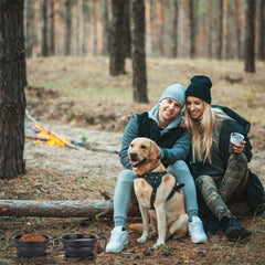 Tailles petites et grandes SLSON, adaptées pour petits chiens et grandes races