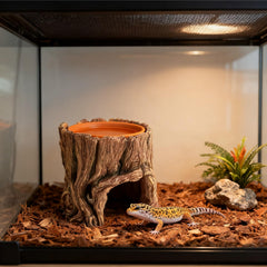 SLWHYZL grimpement-cache terrarium stimule les comportements naturels