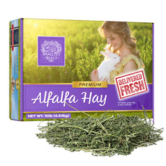 Small Pet Select foin d’alfalfa dans boîte, base nutritionnelle pour jeunes animaux.