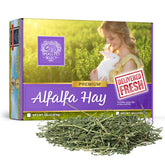 Small Pet Select – colis foin alfalfa, emballage soigné pour petits animaux.