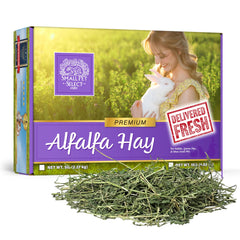 Small Pet Select – colis foin alfalfa, emballage soigné pour petits animaux.
