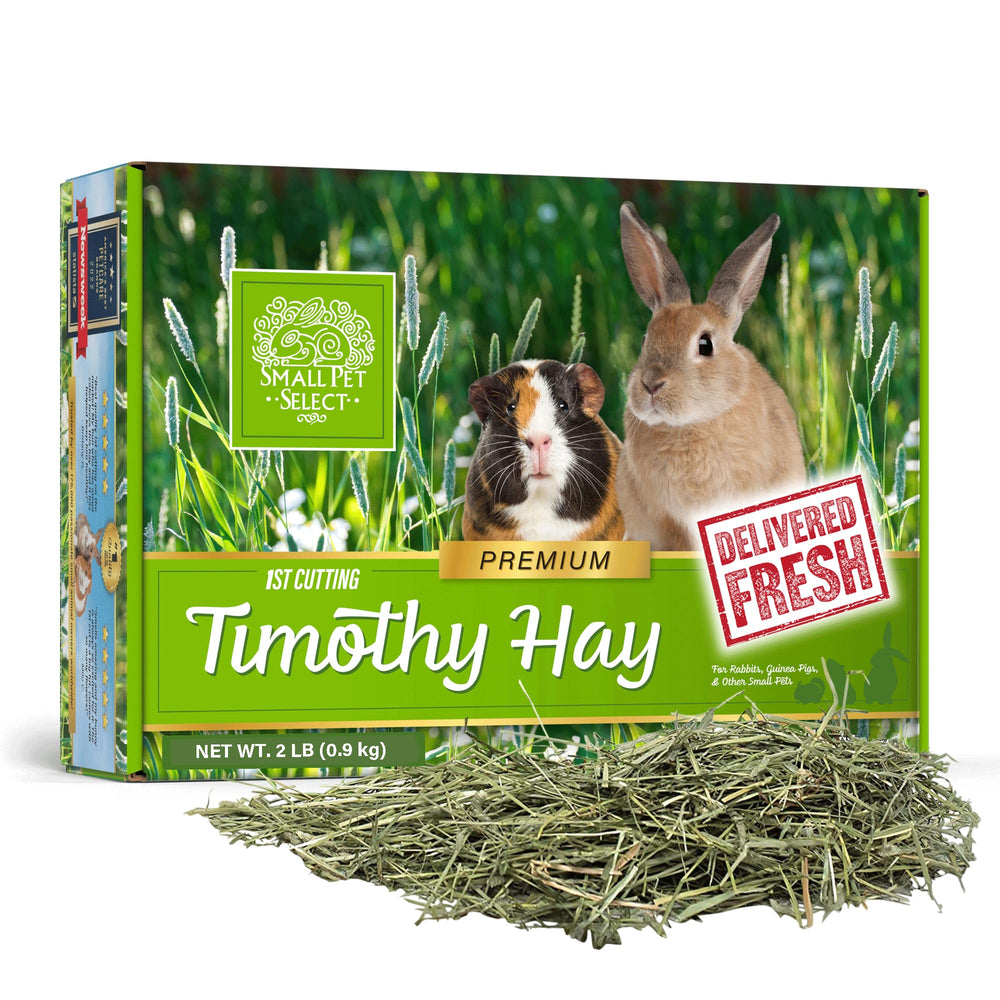 Small Pet Select foin Timothy, emballage-main, frais et riche en fibres.