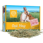 Small Pet Select Foin d'Avoine frais, texture légère pour stimuler l'appétit et varier le régime