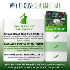 Small Pet Select foin pour forage, encourage l'activité et l'exploration des petits animaux.