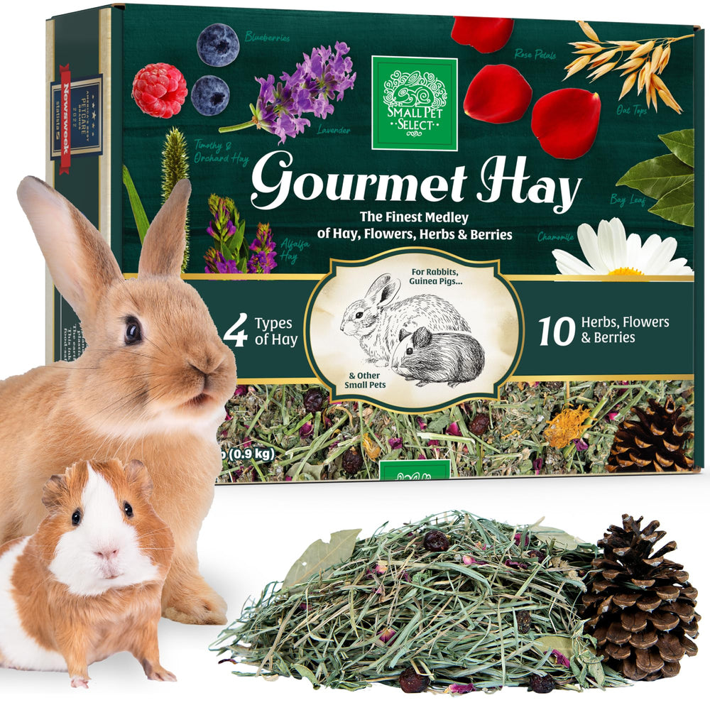 Small Pet Select foin gourmet aux herbes et fleurs, stimule l'appétit et la curiosité.