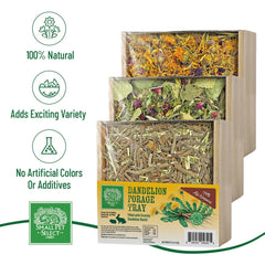 Small Pet Select plateau fourrage pissenlits, favorise la mastication variée et le plaisir sensoriel.