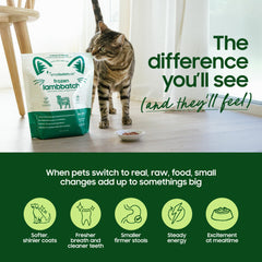 Smallbatch Pets repas complet et équilibré, nutriments essentiels