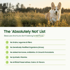 Smallbatch Pets Protéine Unique Agneau : protéine unique adaptée pour chiens sensibles.