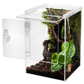 Smartang enclos tarentule arboricole – hauteur adaptée pour l'exploration verticale.