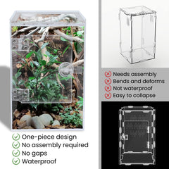 Smartang enclos tarentule arboricole – vue 360° pour observer le comportement.