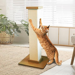 SmartCat Pioneer teinte beige neutre s'harmonise avec le décor