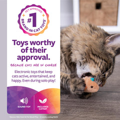 SmartyKat Chickadee Chirp: herbe à chat incluse, stimulation et plaisir