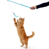 SmartyKat Frisky Flyer avec baguette-plumes bleue extensible pour jeu interactif à distance