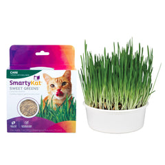 SmartyKat-kit-herbe-chat-bio, prêt à cultiver pour un en-cas sain.