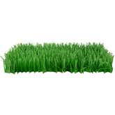 SmartyKat Meadow Mayhem: tapis herbe en papier qui crisse pour stimuler l’exploration du chat