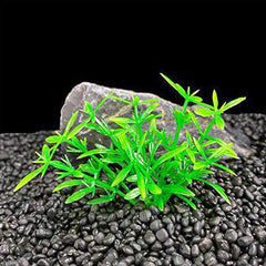 Smoothedo-Pets cache-poisson rouge avec herbe artificielle, coin secret coloré.