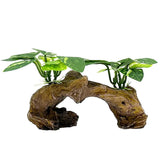 Smoothedo-Pets feuille Betta hamac: refuge naturel dans l'aquarium