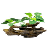 Smoothedo-Pets feuilles Betta, décor naturel pour aquarium et cachette visuelle.