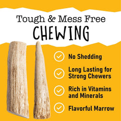 Snatchers moelle elan pour chien, saveur naturelle et richesse nutritive.