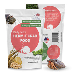 Snout and Shell Daily Feast dans un bol, soutien à la vitalité des hermites terrestres.