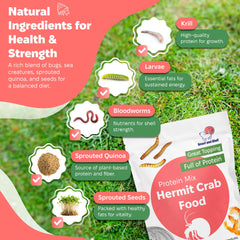 Snout and Shell Protein Mix Hermit Crab Food grains germés, texture variée stimulant le foraging du crabe ermite