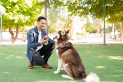 Snug balles en caoutchouc vertes pour chiens, faciles à nettoyer après usage.