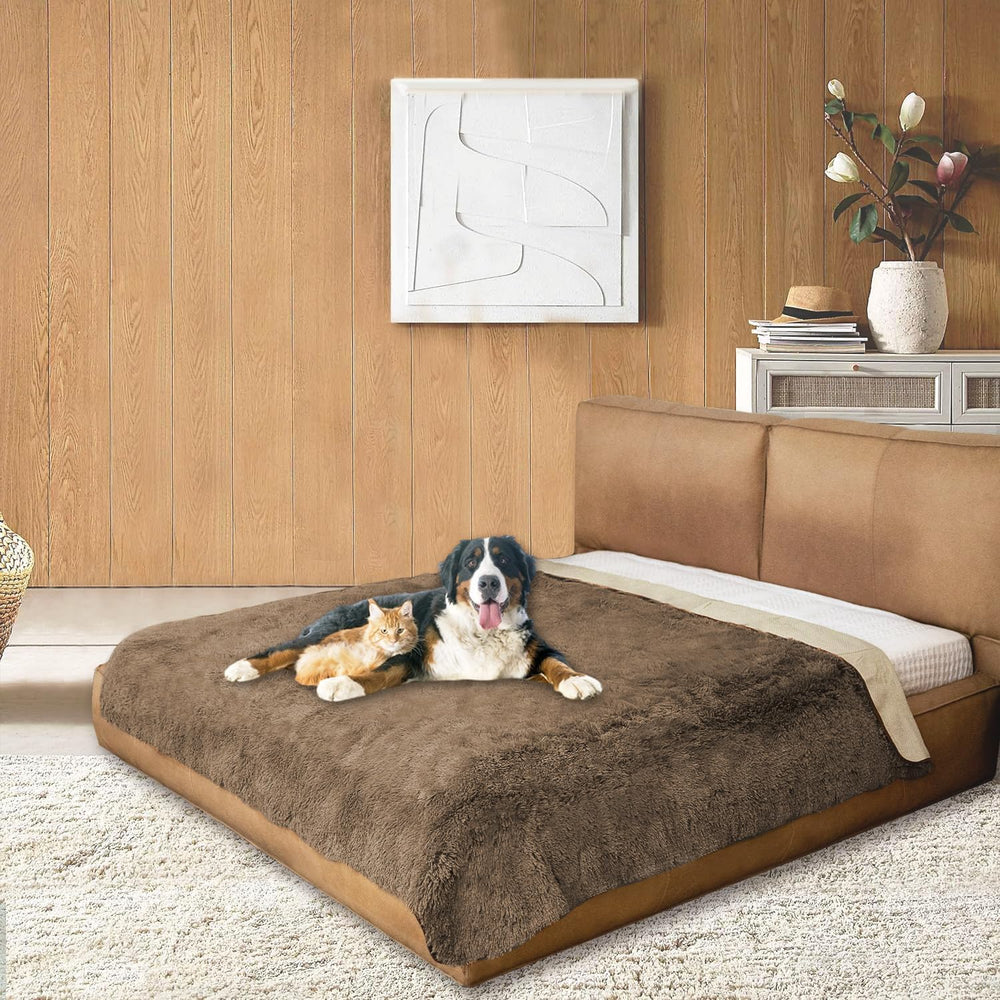 Snugglesinto tapis dodo chien chat poilu sur canapé, confort immédiat.