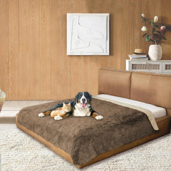 Snugglesinto tapis dodo chien chat poilu sur canapé, confort immédiat.
