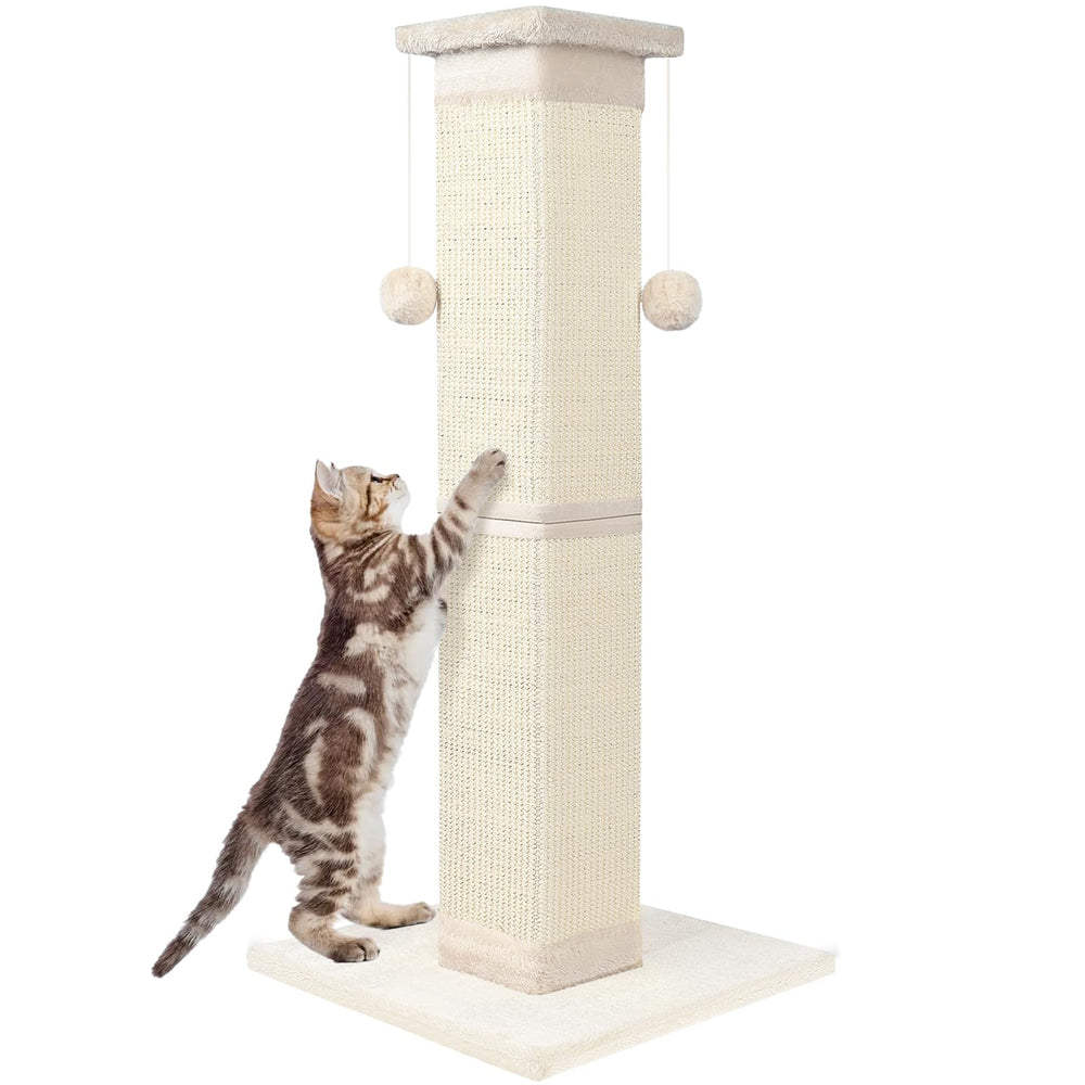Socater poste grattage chat, hauteur 33 pouces offre un grand espace d'étirement sûr.