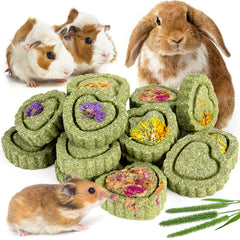 Sofier Timothy Treats Original Cakes: favorise la mastication naturelle et le plaisir de votre animal