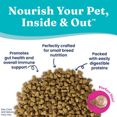 Solid Gold Mighty Mini kibble petites tailles idéal pour chiots et petites races.