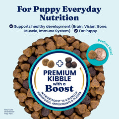 Solid Gold probiotiques Nutrientboost, soutien digestion et absorption.