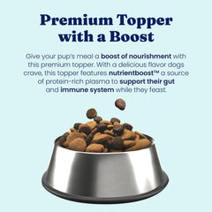 Solid Gold NutrientBoost vitamines-mineraux énergie quotidienne pour chien