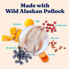 Solid Gold pollock-dalaska : poisson riche en protéines pour l énergie du chat.